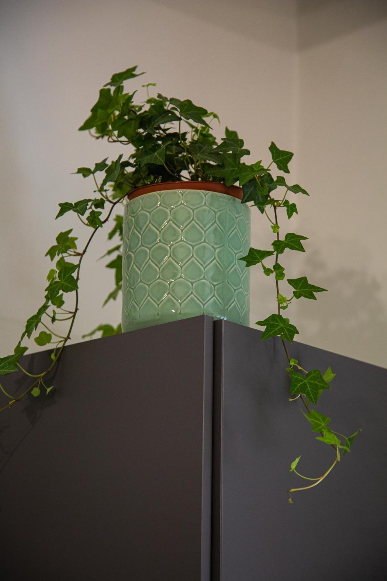 Bright Apartment Near San Pietro ローマ エクステリア 写真